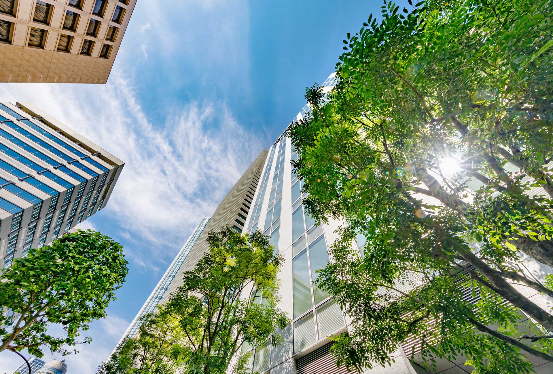 https://www.ecobuild.id/wp-content/uploads/2023/08/Landing-Page-Ecobuild.jpg